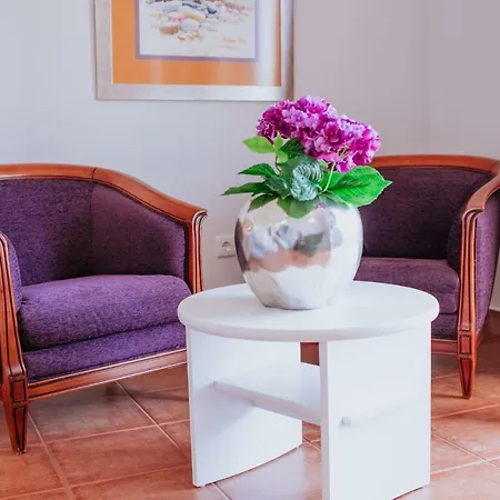 Villa Amore Accommodation Penzion