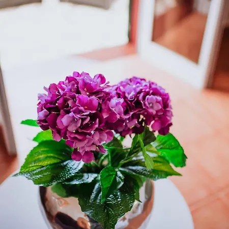 Гостевой дом By Amazing Madeira