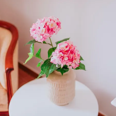 By Amazing Madeira פול דו מאר