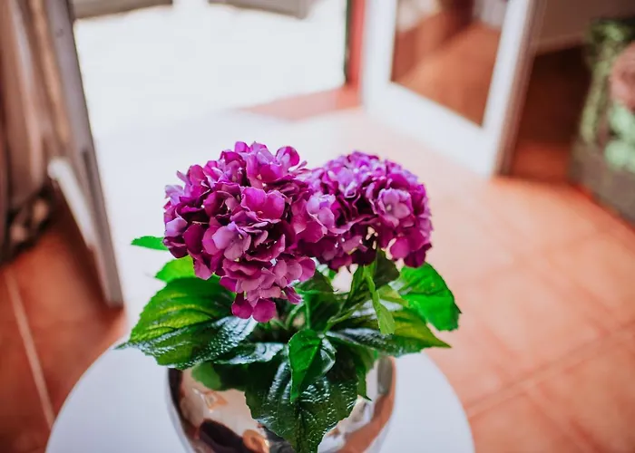 招待所 By Amazing Madeira